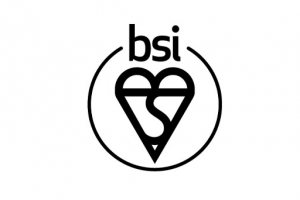 bsi-standards